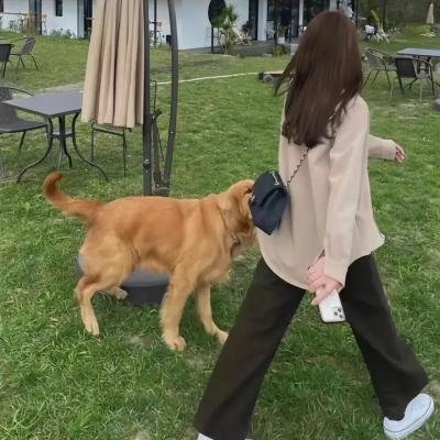 暴力启示录